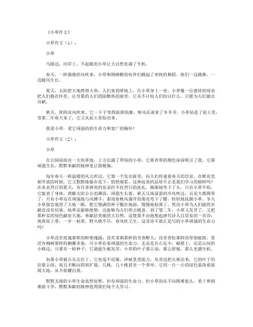 小草作文20篇