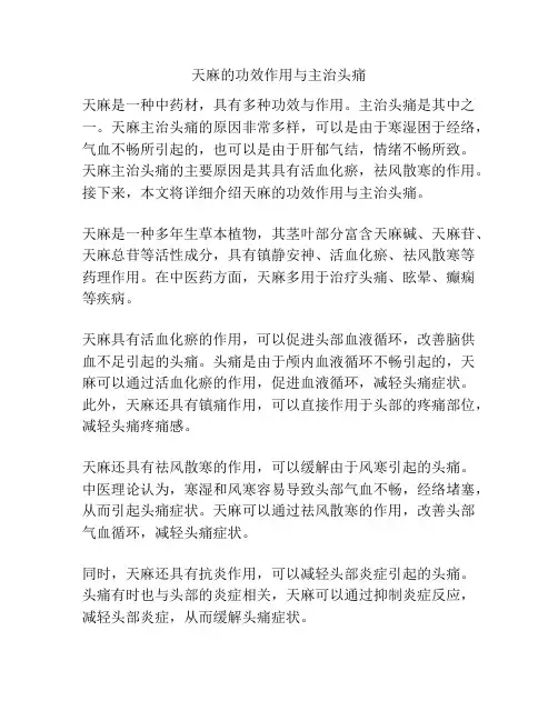 天麻的功效作用与主治头痛