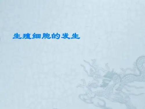 3 生殖细胞发生