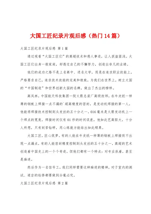 大国工匠纪录片观后感(热门14篇)