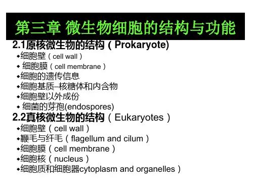 微生物细胞的结构与功能