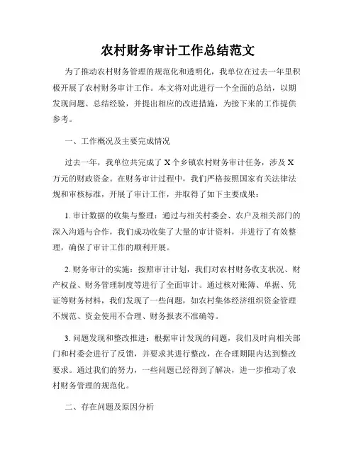 农村财务审计工作总结范文