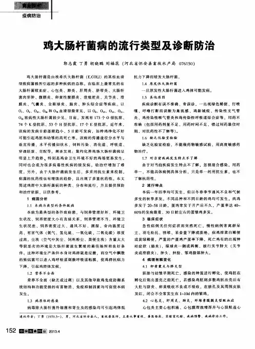 鸡大肠杆菌病的流行类型及诊断防治