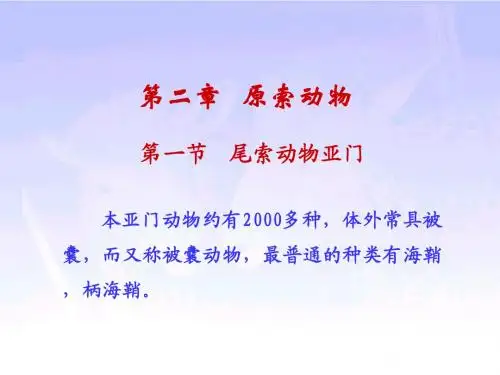 第二章 原索动物