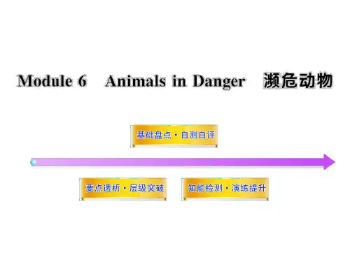2012版高中英语全程复习方略配套课件：Module6(外研版必修5)