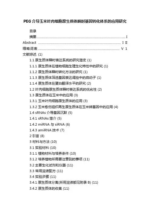 PEG介导玉米叶肉细胞原生质体瞬时基因转化体系的应用研究