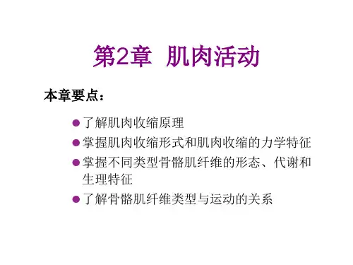 GE08第02章——肌肉活动(体硕联考)