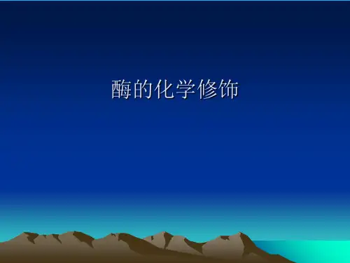 酶的化学修饰
