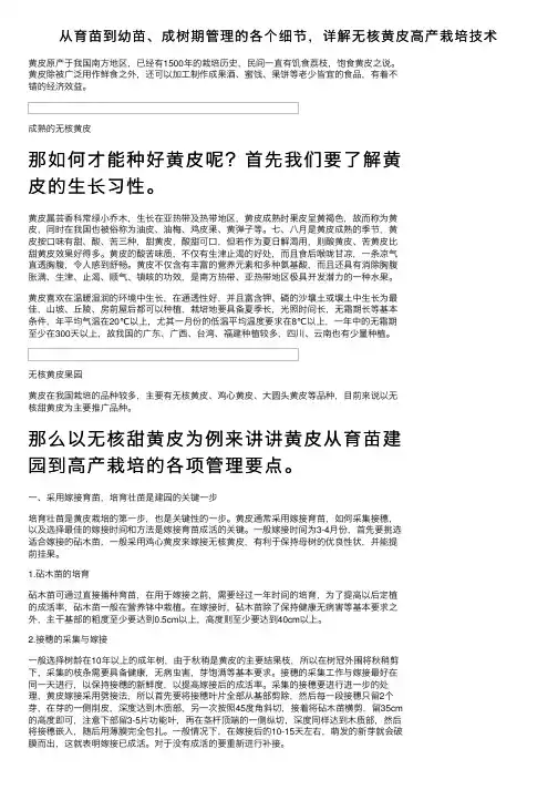 从育苗到幼苗、成树期管理的各个细节，详解无核黄皮高产栽培技术