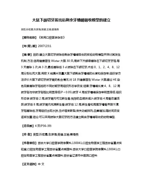 大鼠下颌切牙拔出后剩余牙槽嵴吸收模型的建立
