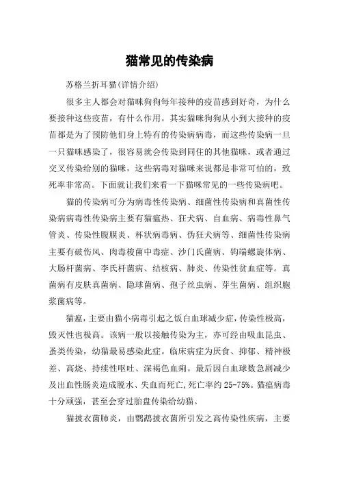 猫常见的传染病