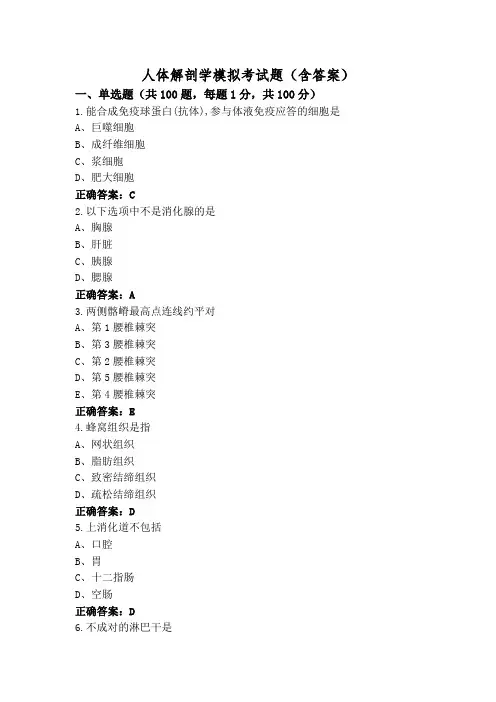 人体解剖学模拟考试题(含答案)