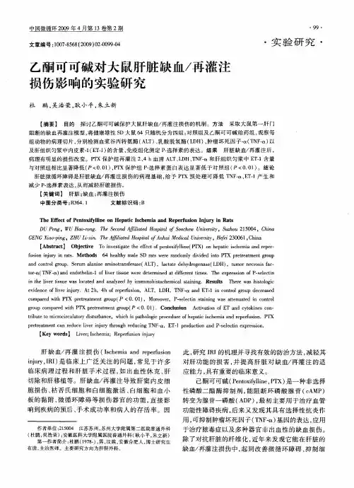乙酮可可碱对大鼠肝脏缺血／再灌注损伤影响的实验研究