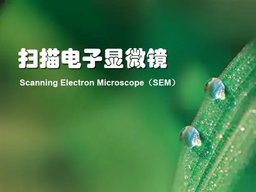 扫描电镜(SEM)精品课件-3