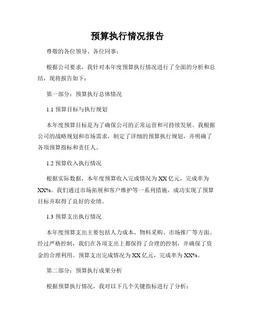 预算执行情况报告