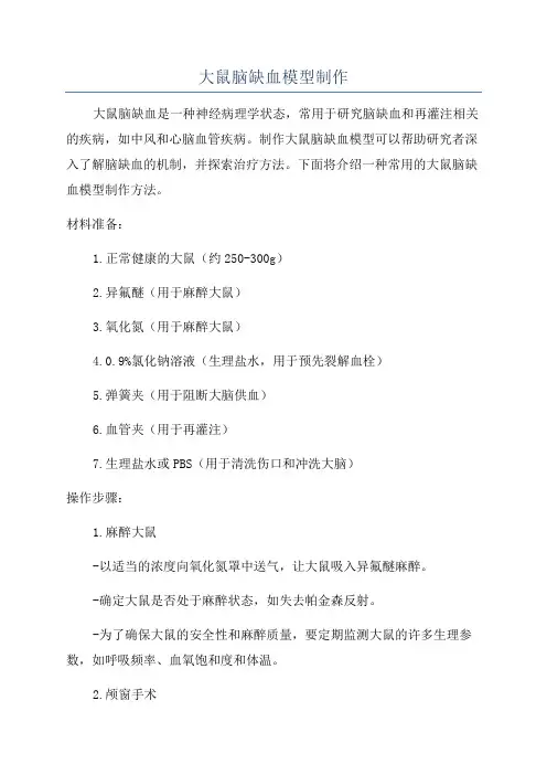 大鼠脑缺血模型制作
