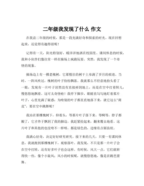 二年级我发现了什么 作文