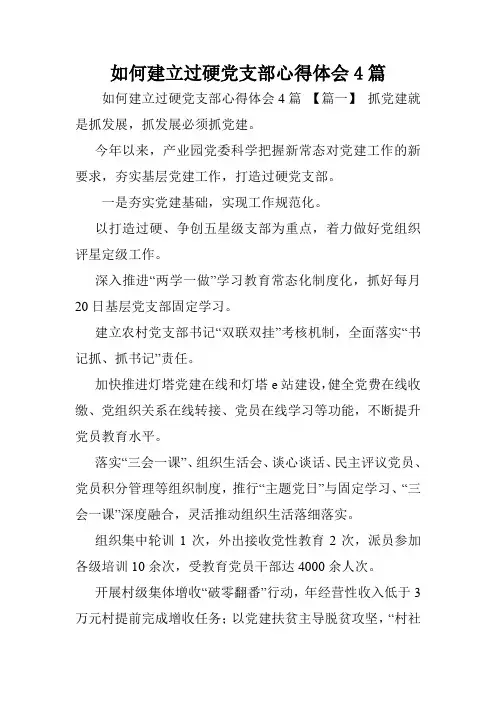 如何建立过硬党支部心得体会4篇.doc