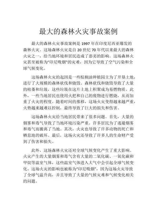 最大的森林火灾事故案例
