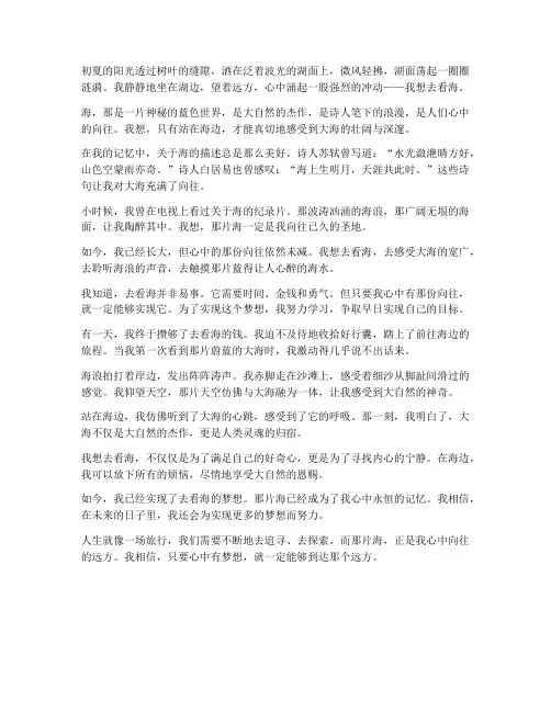 我想去看海中考语文试卷