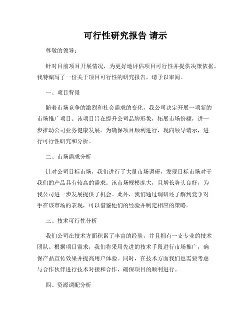 可行性研究报告 请示