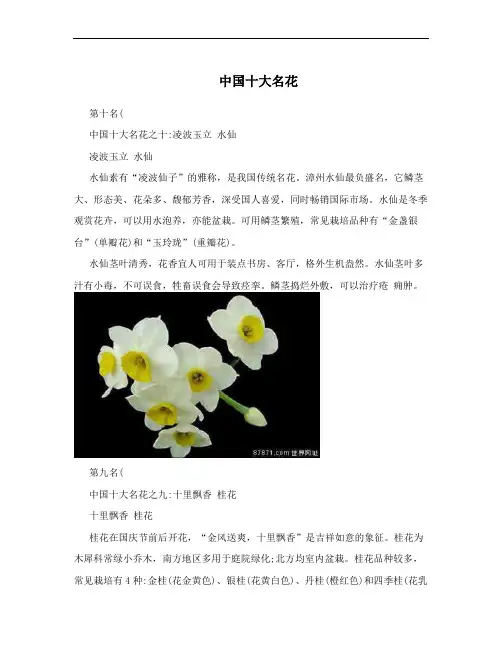 中国十大名花