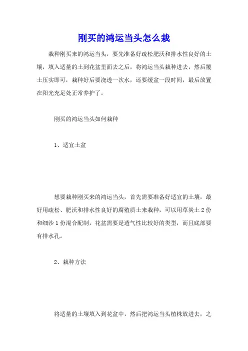 刚买的鸿运当头怎么栽