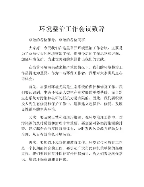 环境整治工作会议致辞