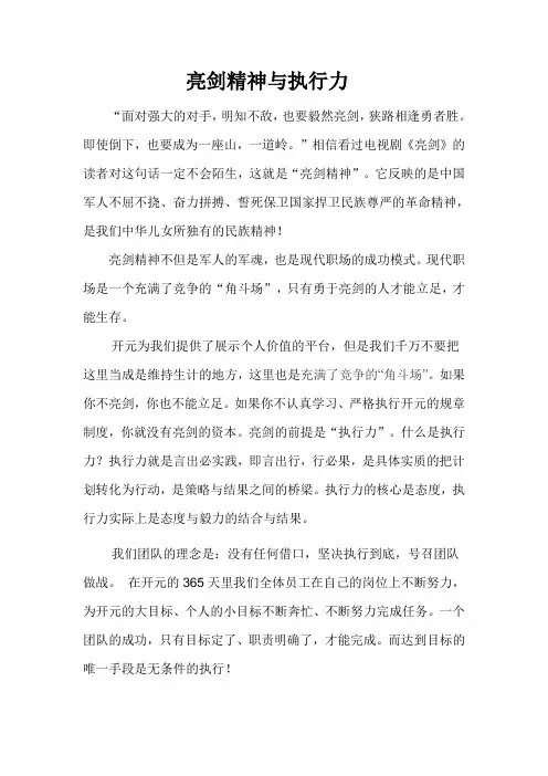 亮剑精神与执行力