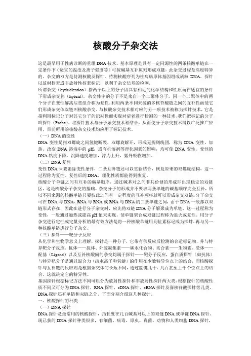核酸分子杂交法