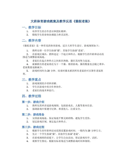 大班体育游戏教案及教学反思《猫捉老鼠》