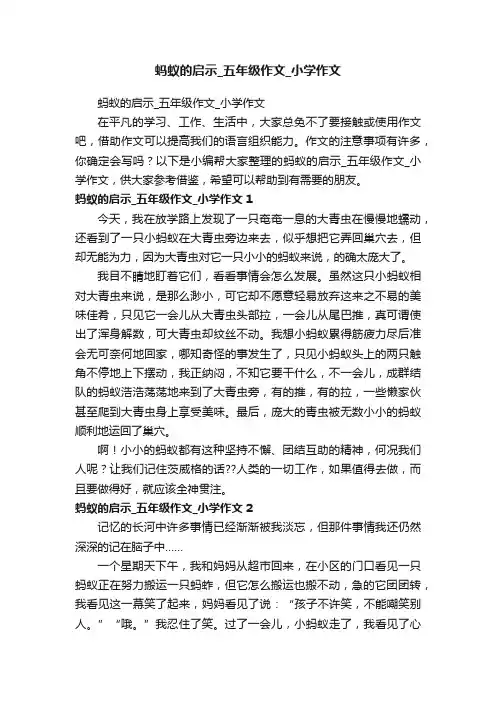 蚂蚁的启示_五年级作文_小学作文