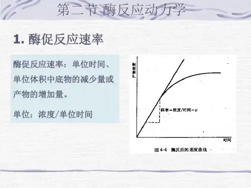 酶工程酶学概论