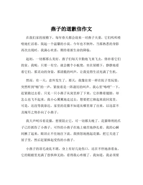燕子的道歉信作文