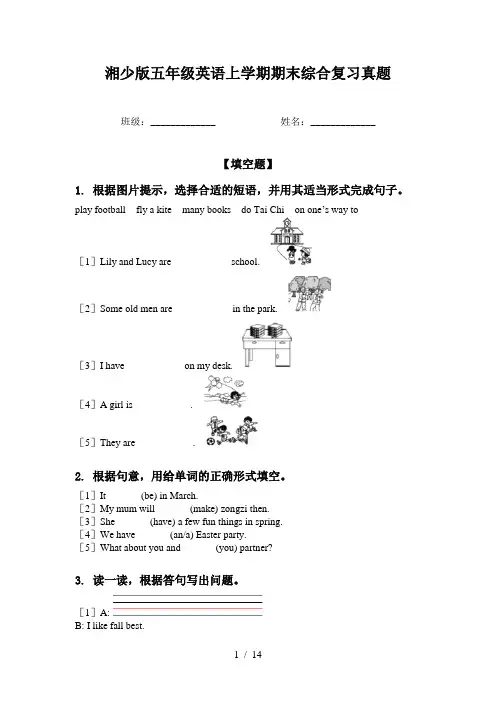 湘少版五年级英语上学期期末综合复习真题