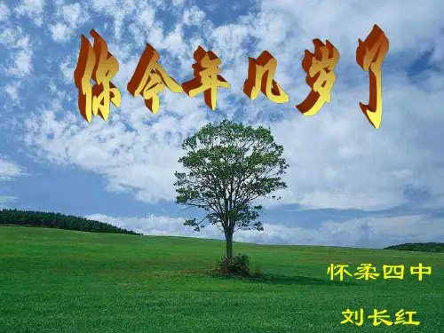 等式基本性质