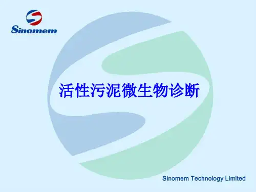 污水处理微生物诊断