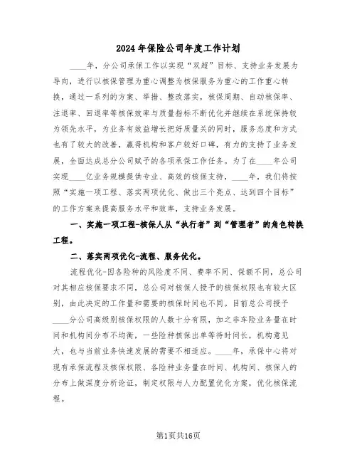 2024年保险公司年度工作计划(五篇)