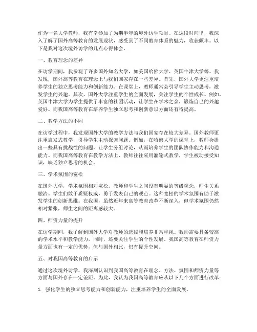 大学教师境外访学心得体会