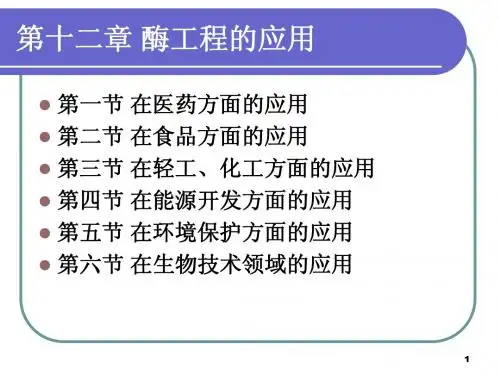 酶工程_第十二章_酶和蛋白质工程的应用_091228