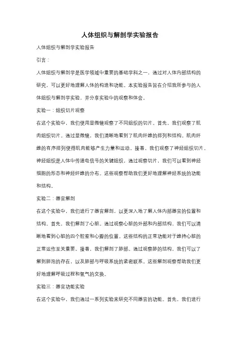 人体组织与解剖学实验报告