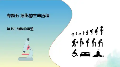 第1讲细胞的增殖(备考课件)-备战2025年高考生物一轮复习考点帮(全国通用)
