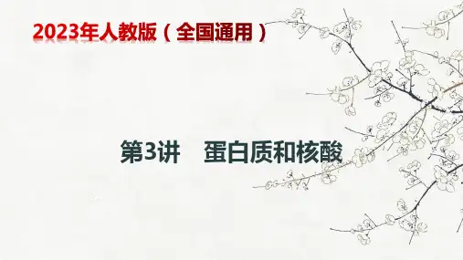 第3讲蛋白质和核酸备战年高考生物一轮复习精讲精练