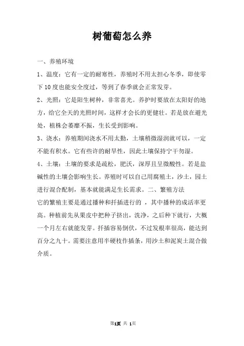 树葡萄怎么养 