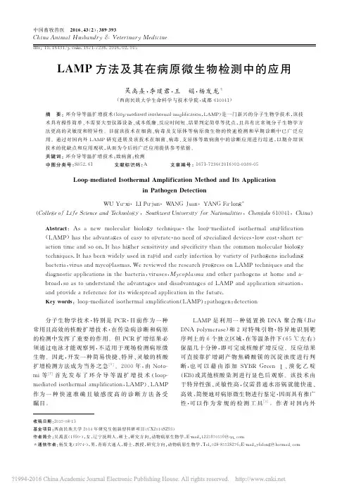 LAMP方法及其在病原微生物检测中的应用_吴禹熹