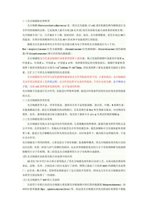光和细菌概述