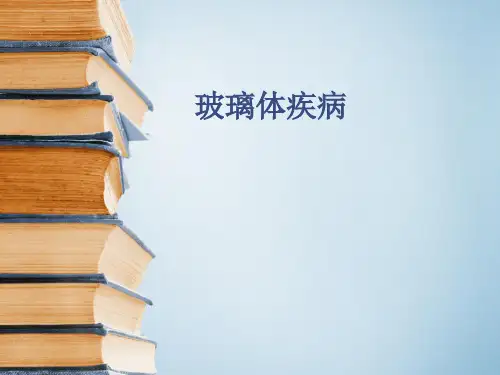 玻璃体疾病课件
