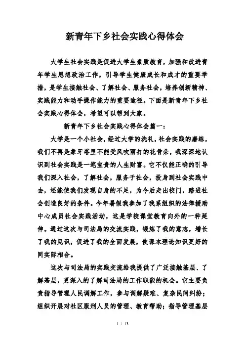 新青年下乡社会实践心得体会