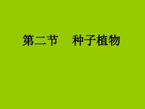 种子植物(8)初中生物课件