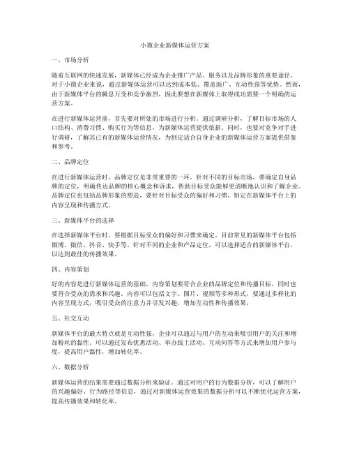 小微企业新媒体运营方案